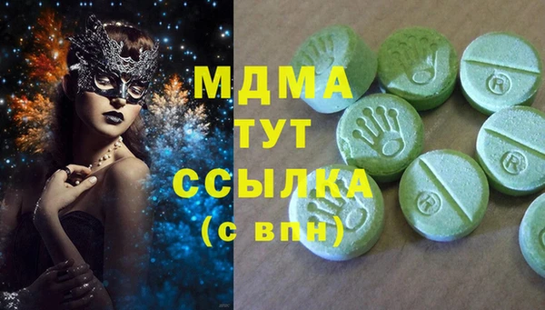 индика Абаза
