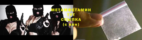 индика Абаза