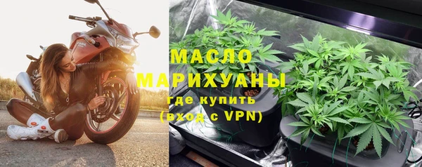 индика Абаза