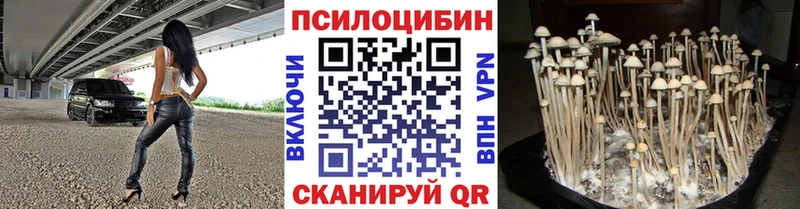 Галлюциногенные грибы ЛСД  hydra ССЫЛКА  Райчихинск 